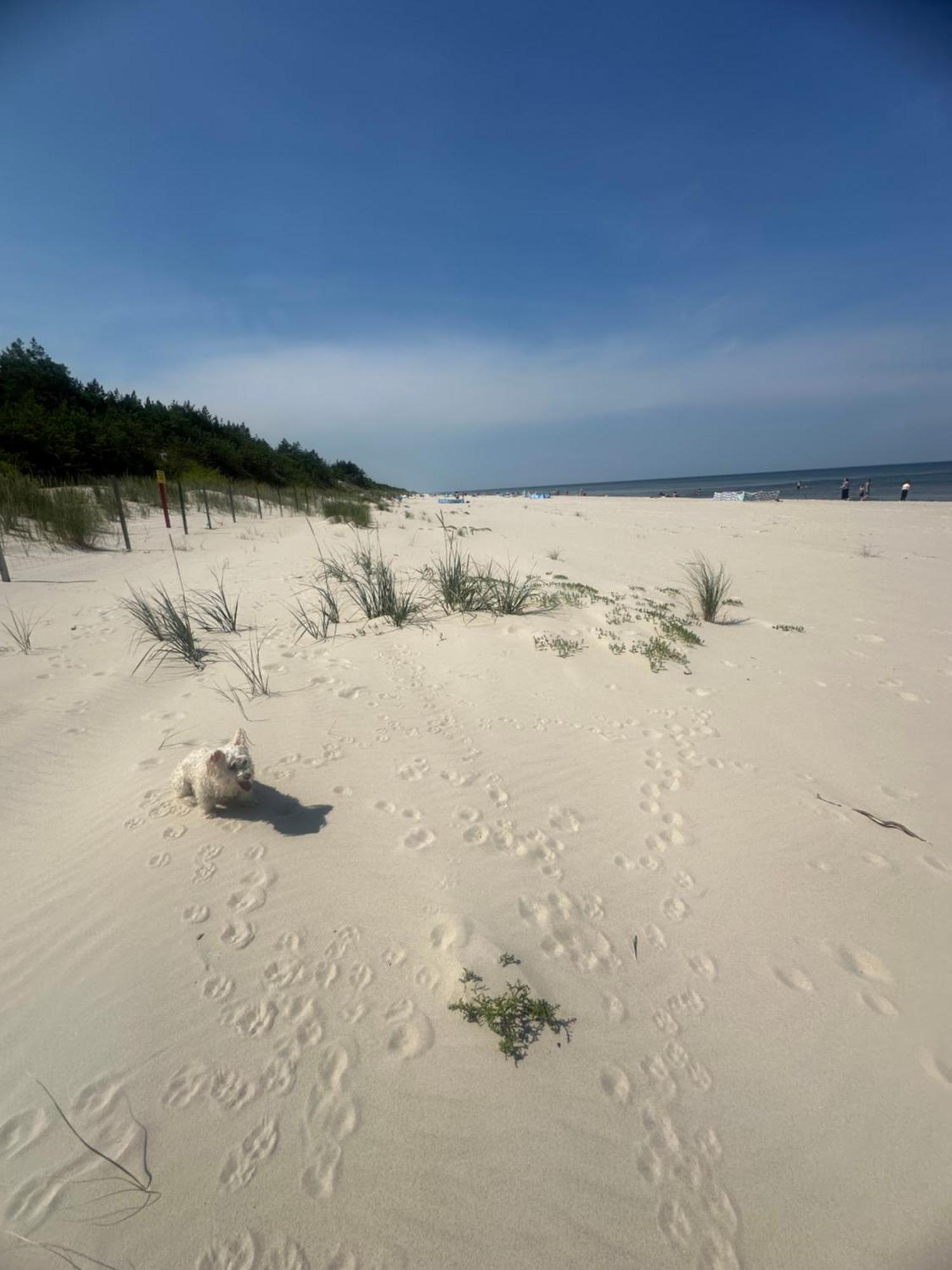 Baltic Holidays Gąski Exterior foto